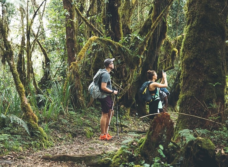 Mount Kilimanjaro Day Trip - Day Trip