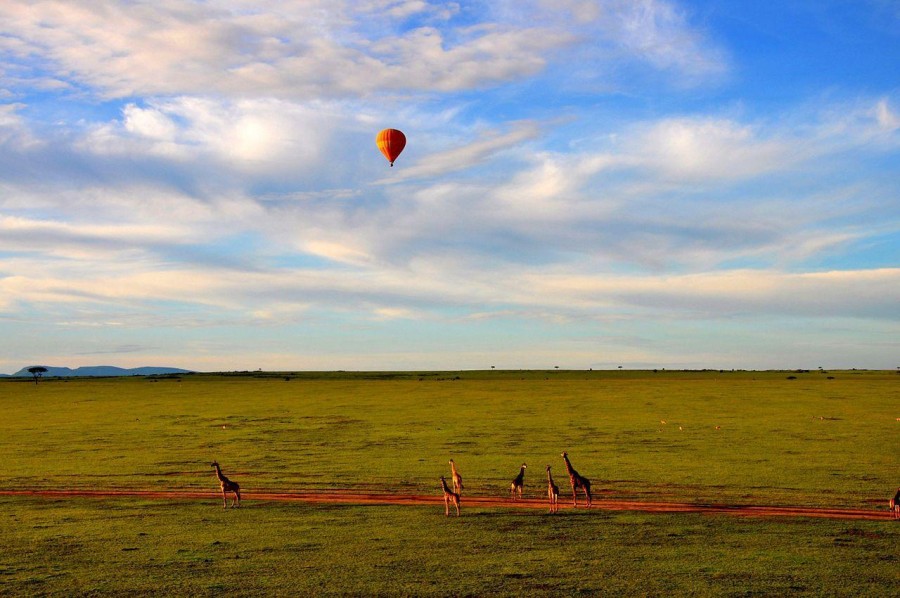 Image Slider No: 2 Hot Air Balloon Safaris