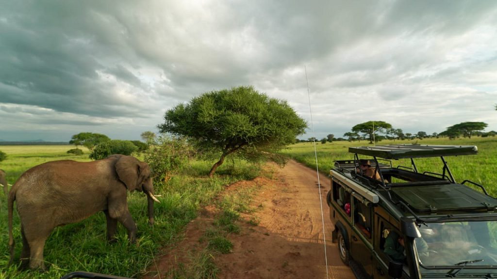 Image Slider No: 1 6 Days Tanzania Luxury Safari