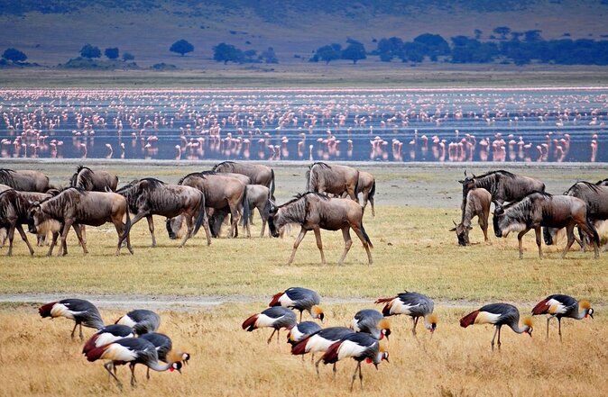 Image Slider No: 1 Ngorongoro Conservation Area