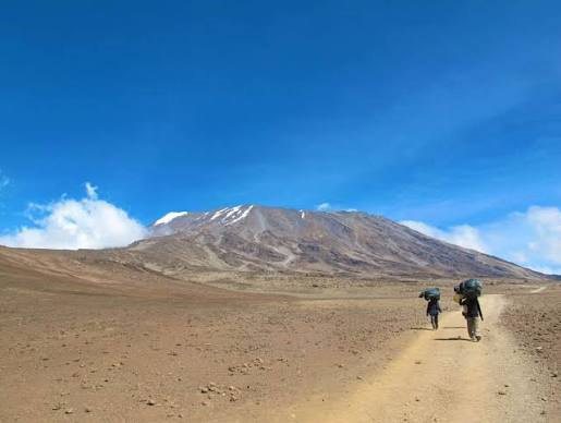 Can You Climb Kilimanjaro Without a Guide? - Tanzania travel blog post