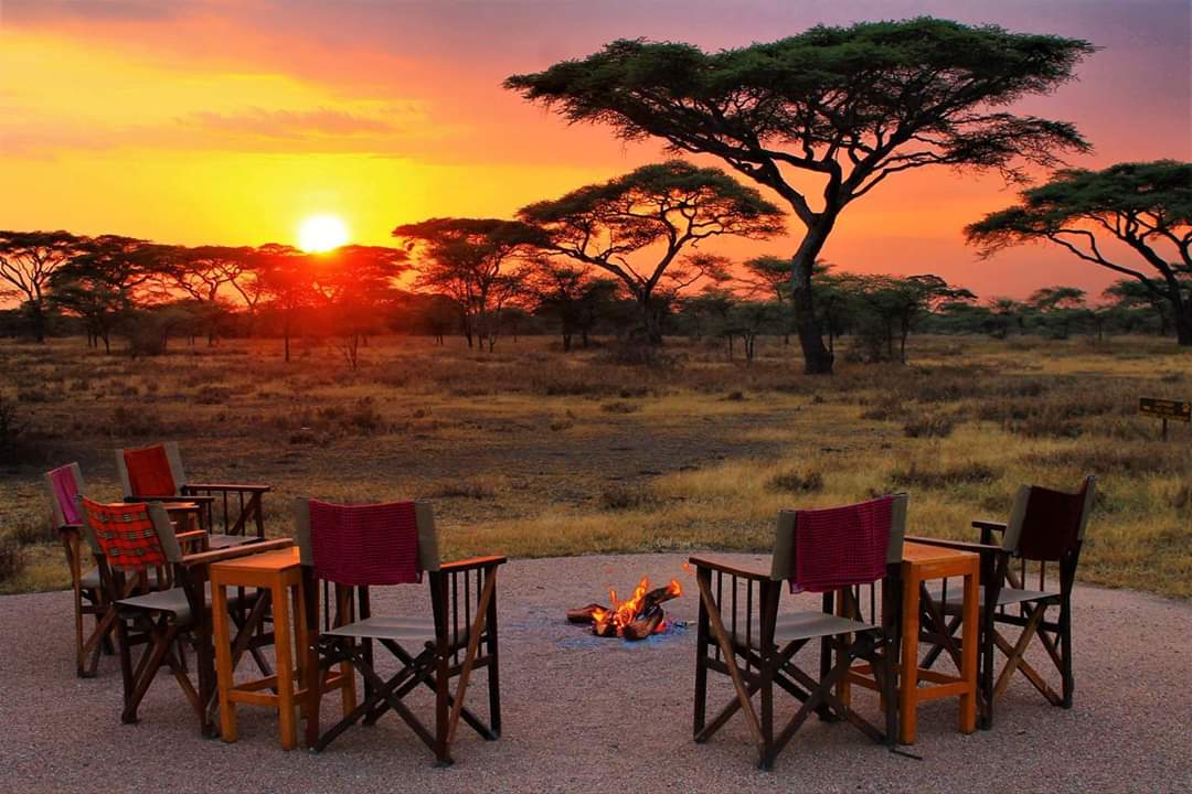 Is it Safe to Go Tanzania Safari with the Kids - African safari with kids - Tanzania travel blog post
