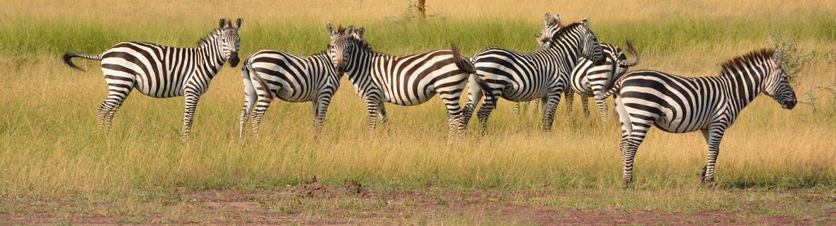 Arusha National Park National Park - Tanzania Safari Destination with Juhudi Expedition