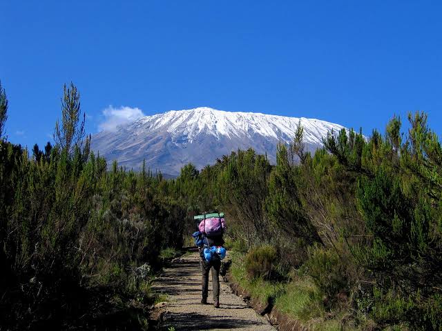 Mount Kilimanjaro National Park National Park - Tanzania Safari Destination with Juhudi Expedition