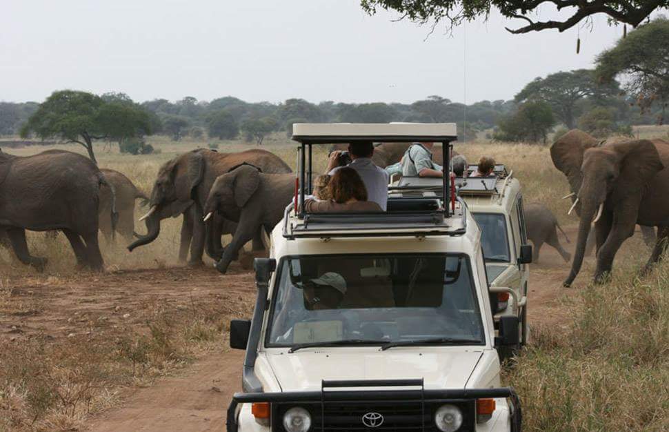 3 Days Tanzania Budget Camping Safari