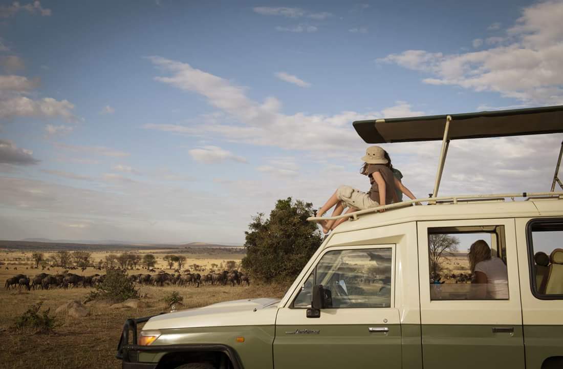 3 Days Tanzania Mid-Range Safari