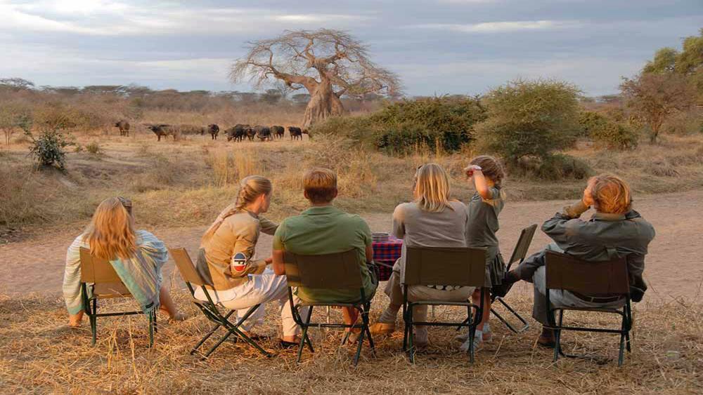 7 Days Tanzania Budget Camping Safari