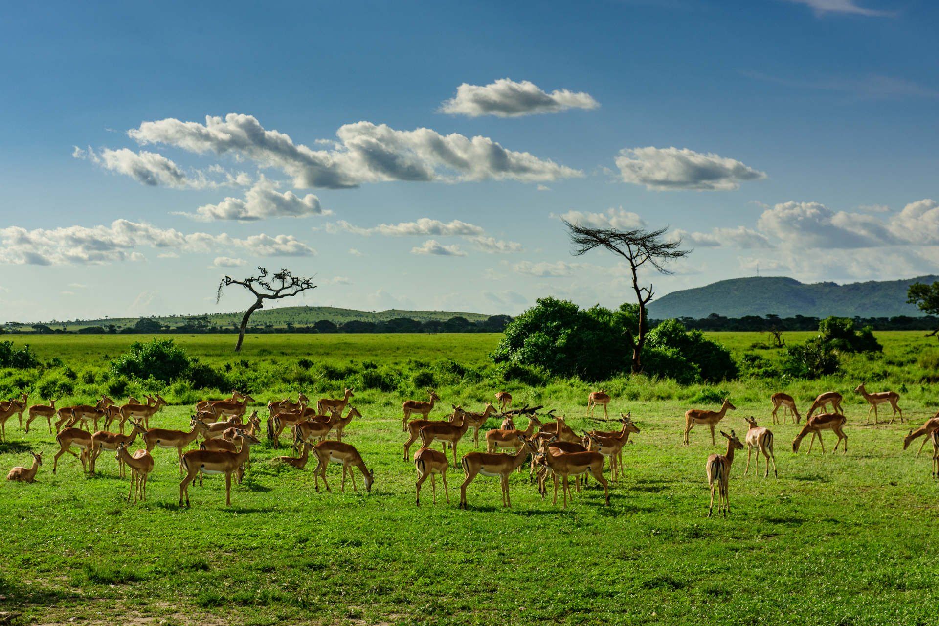 Arusha National Park Day Trip - Day Trip