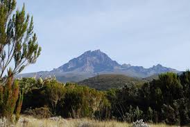 Mount Kilimanjaro Day Trip - Mount Kilimanjaro National Park day tour