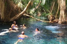  Chemka Hot Springs Day Trip - Mount Kilimanjaro National Park day tour