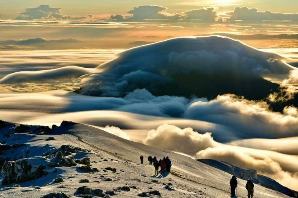 7 Days Machame Route - Kilimanjaro Trek Gallery
