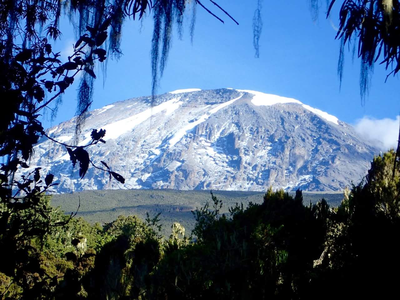 7 Days Machame Route 
