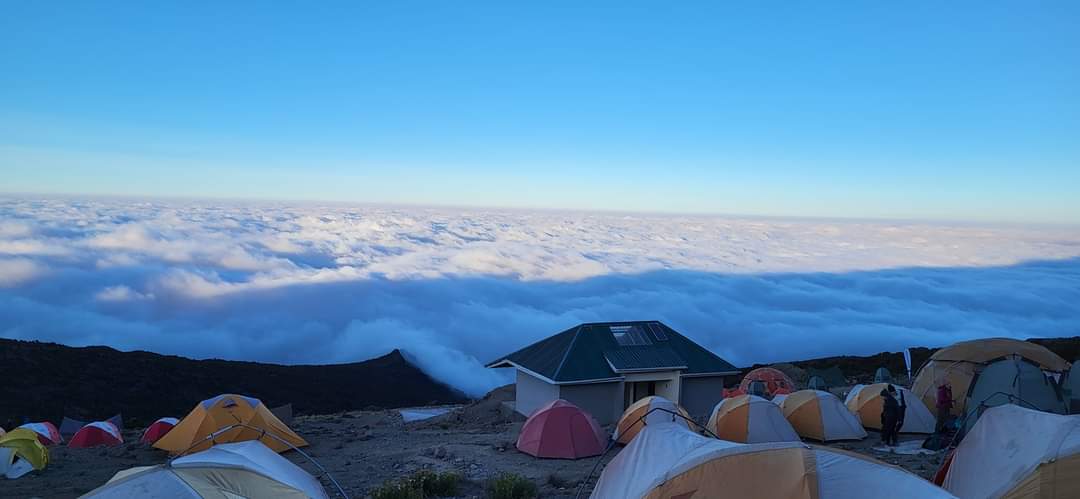 8 Days Lemosho Route - Kilimanjaro trekking experience