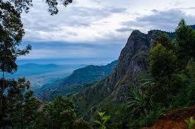 Usambara Mountain climbing  - Kilimanjaro Trek