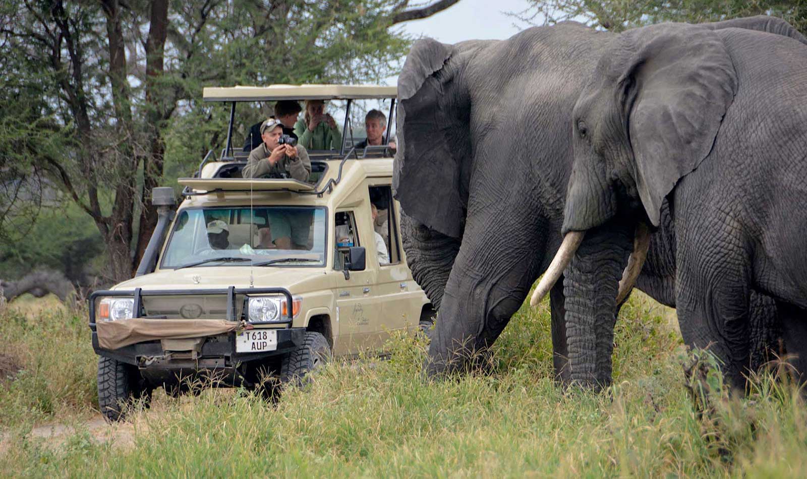 Image Slider No: 3 6 Days Tanzania Luxury Safari